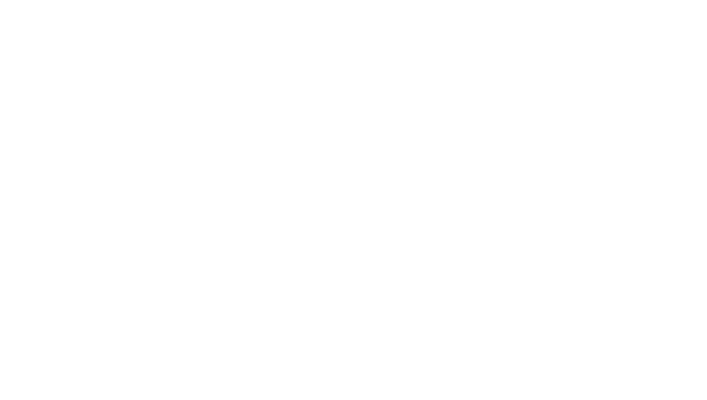 TRX SOLUTIONS INC.